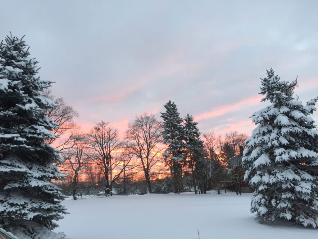 যুক্তরাষ্ট্রে তিন বছর