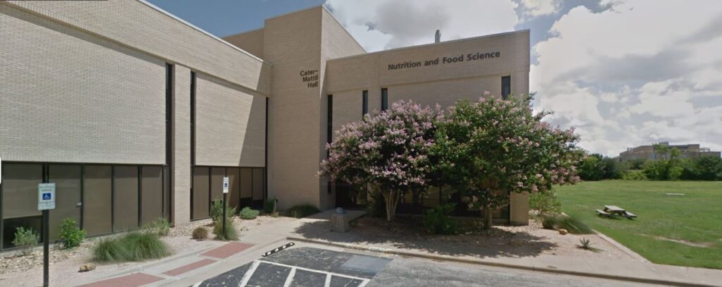 পিএইচডি দিনলিপি – ১২ (পেপার রিভিউ, সেমিনার)