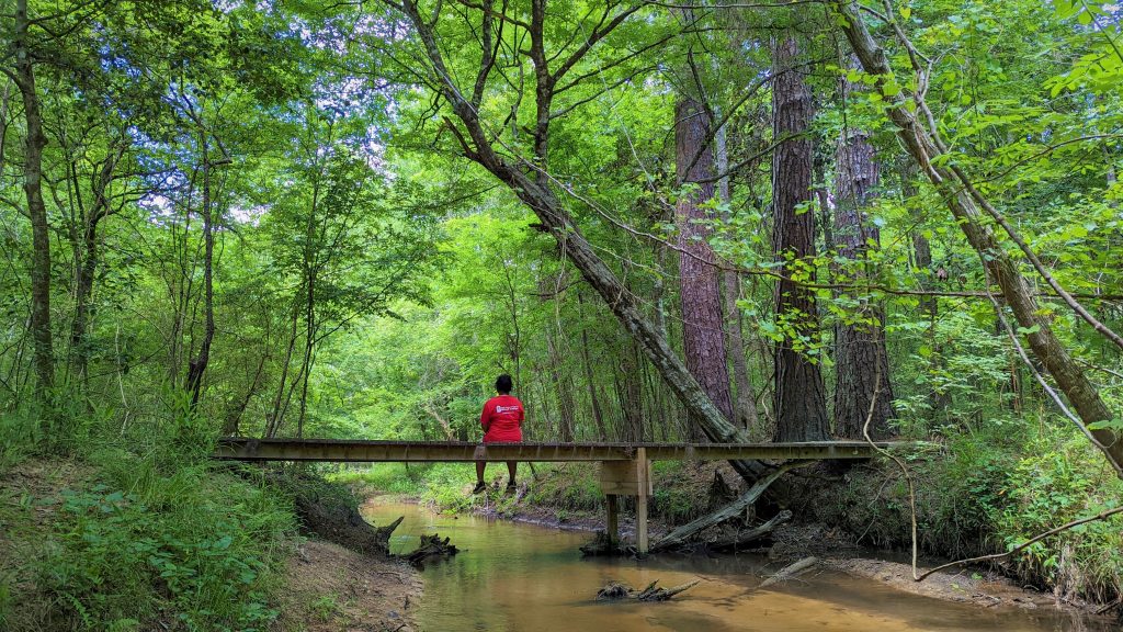 জীবন যাচ্ছে যেমনঃ স্যাম হিউস্টন জাতীয় অরণ্যে ক্যাম্পিং (শেষ পর্ব)